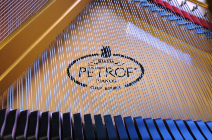 В Чехии открылся музей фортепиано